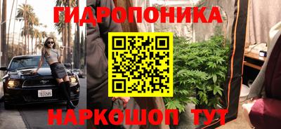 хмурый Малоярославец