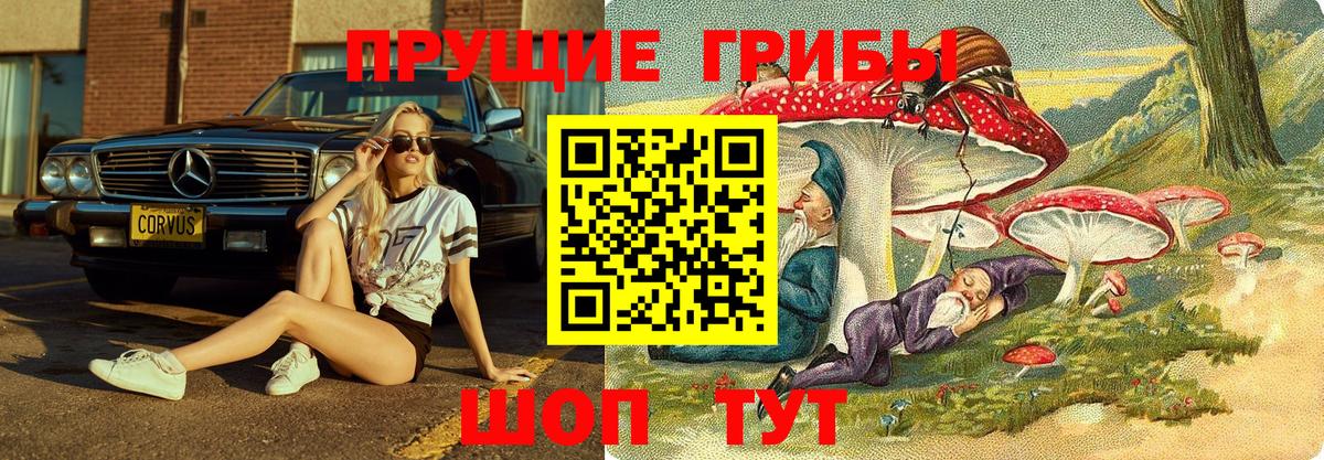 Псилоцибиновые грибы Psilocybe  Вход с VPN  Джанкой 